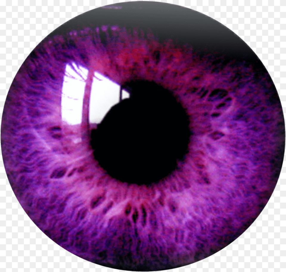 Eye Eyes Purple Burgundy Violet Purpleeyesremixit Ftest Purple Eye Lens, Sphere, Accessories, Jewelry, Gemstone Png