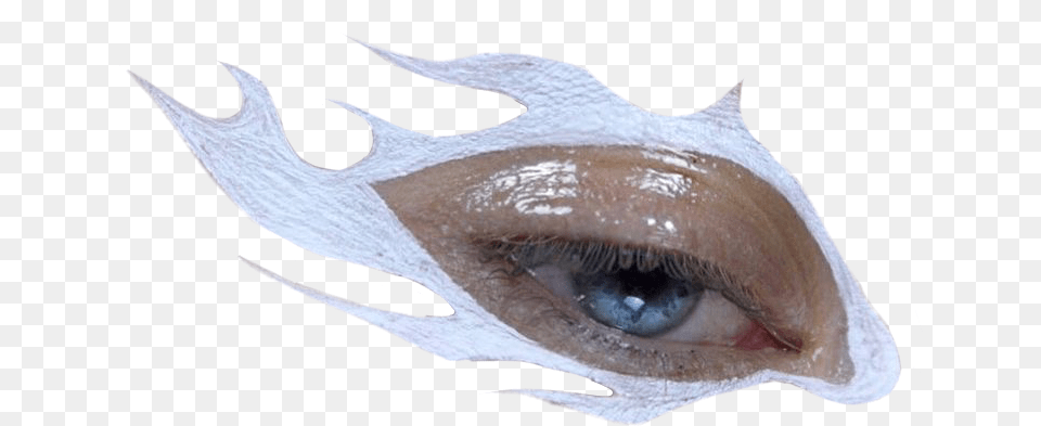 Eye Eyes White Flames Aesthetic Makeup Moodboa Mask, Animal, Fish, Sea Life, Shark Free Transparent Png