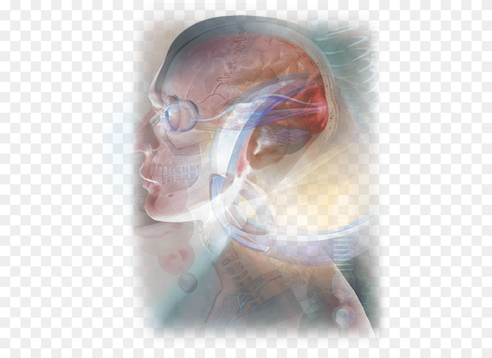 Eye Head Brain Illustration, Baby, Person, Art, Graphics Png