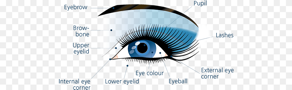 Eye Eyelash Extensions, Contact Lens Png Image