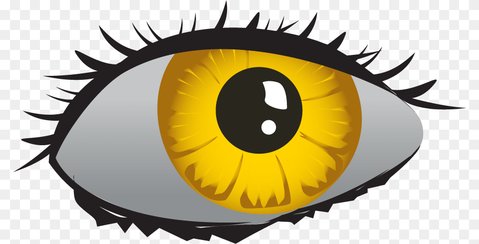 Eye Iris, Animal, Bee, Insect, Invertebrate Free Png Download