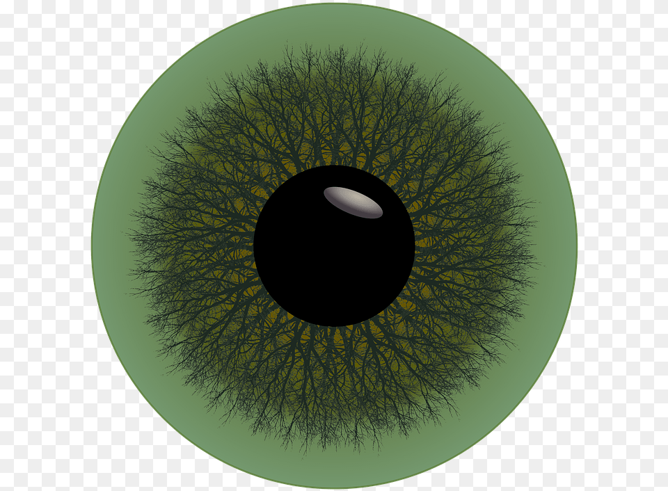 Eye Iris Green Trees Circle Pupil Sight Looking Circle, Sphere, Disk, Pattern, Nature Png Image