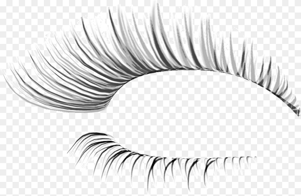 Eye Lash Extension Background Fake Eyelashes, Accessories, Jewelry, Necklace, Plant Free Png Download