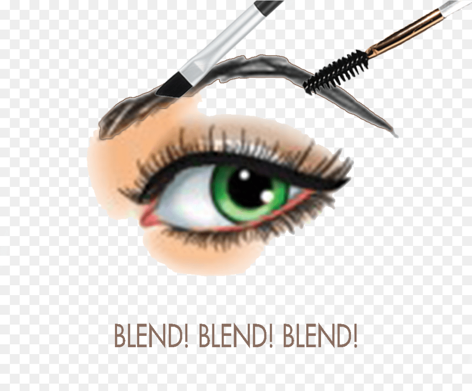 Eye Lash Images Eyebrow, Cosmetics, Knife, Blade, Dagger Free Png Download