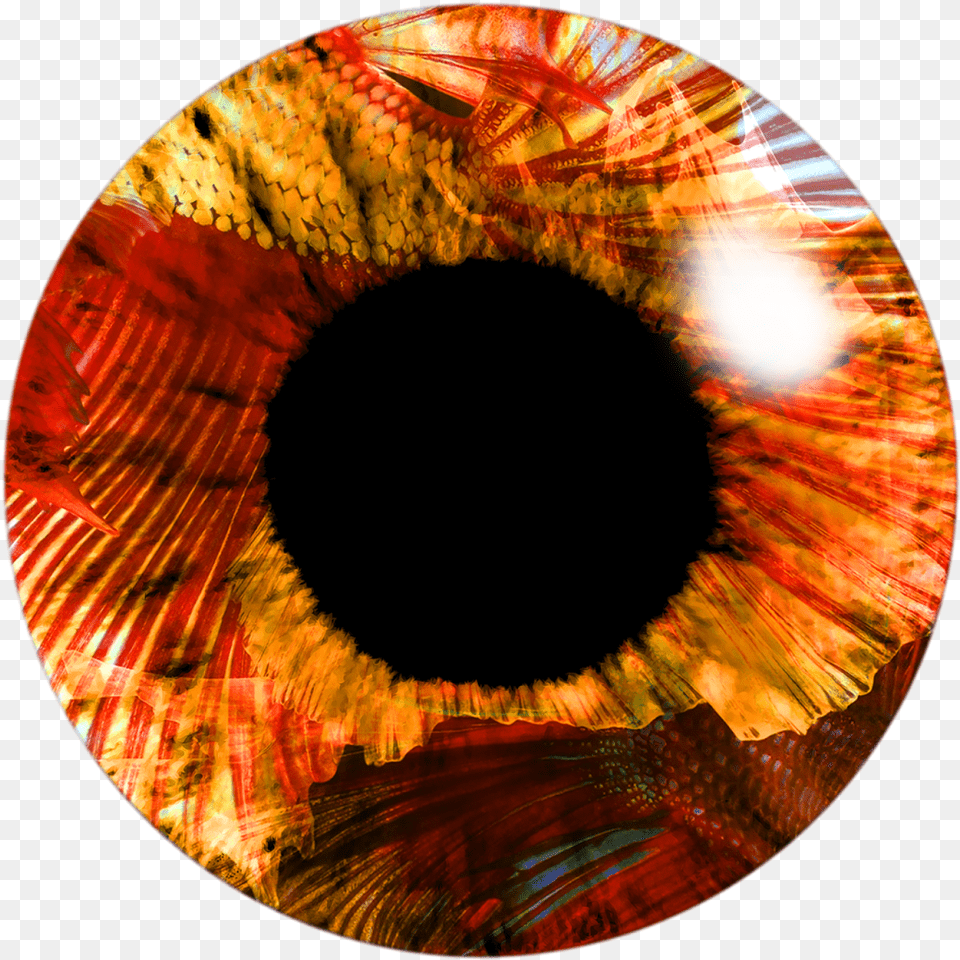 Eye Lens Image Hd Orange Eye Lens, Accessories, Ornament, Pattern, Gemstone Free Png