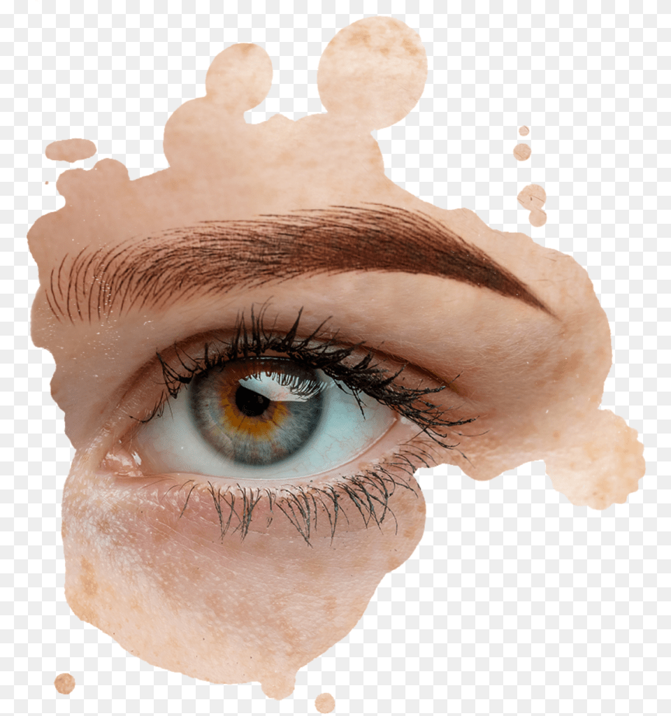Eye Liner Hd, Adult, Female, Person, Woman Free Transparent Png