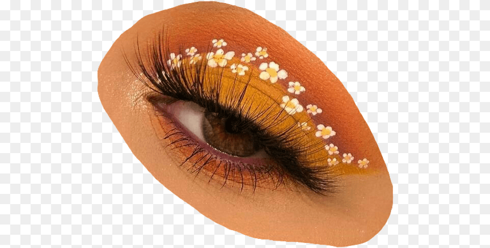 Eye Makeup Eyeshadow Flower Cute Aesthetic Aesthetic Orange Makeup, Adult, Female, Person, Woman Free Png Download