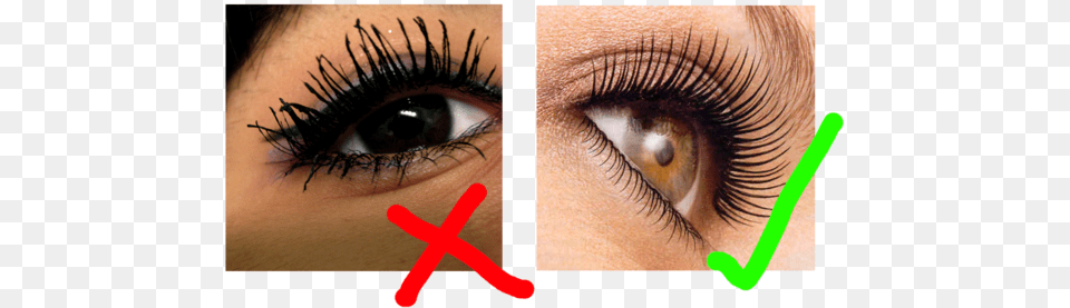Eye Makeup Mascara Eyes, Cosmetics, Adult, Female, Person Png Image
