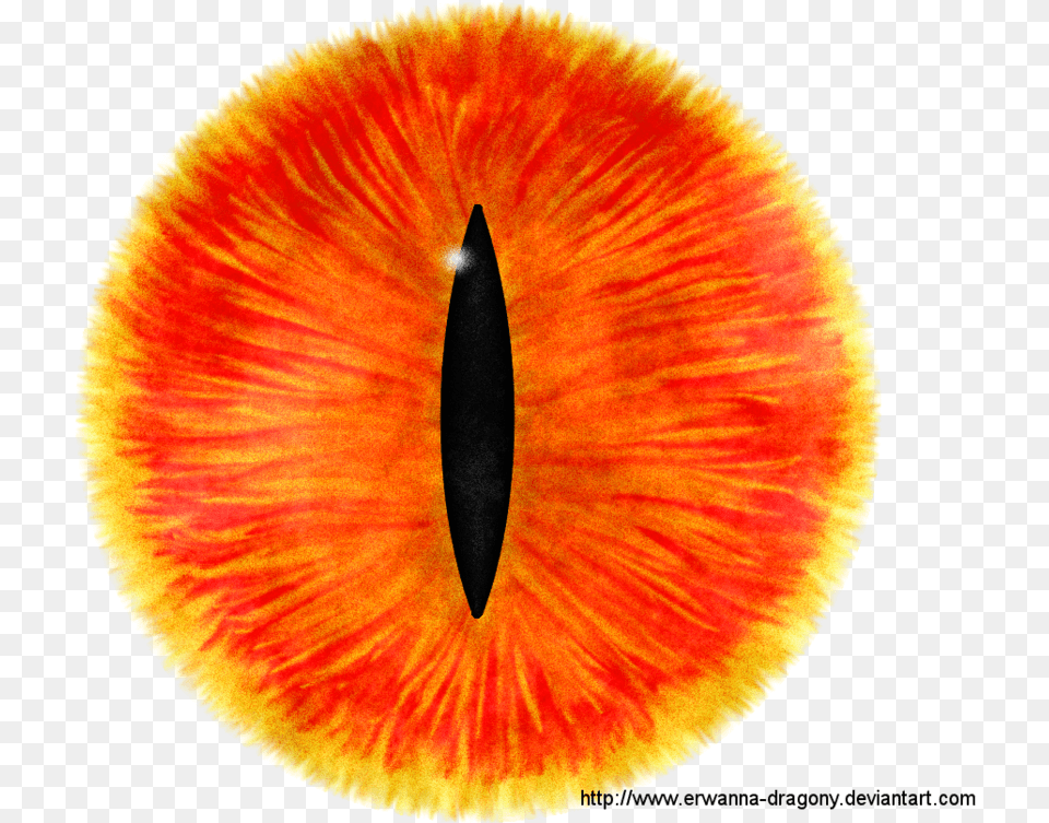 Eye Of Sauron Wallpaper, Plant, Petal, Flower, Accessories Png Image