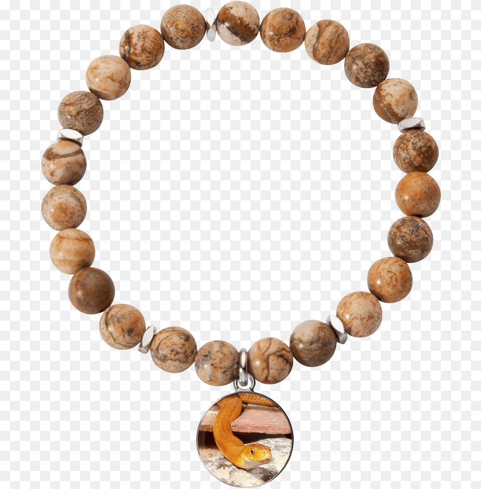 Eye Of The Beholder Charm Bracelet Bracelet, Accessories, Jewelry, Bead, Bead Necklace Free Png Download