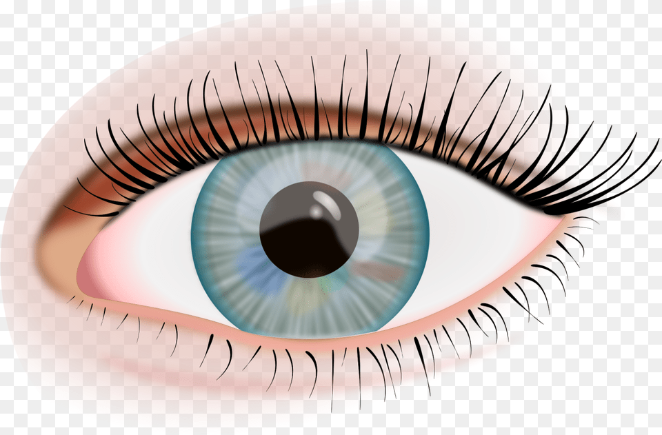 Eye Ojo, Contact Lens, Plate, Disk Png Image
