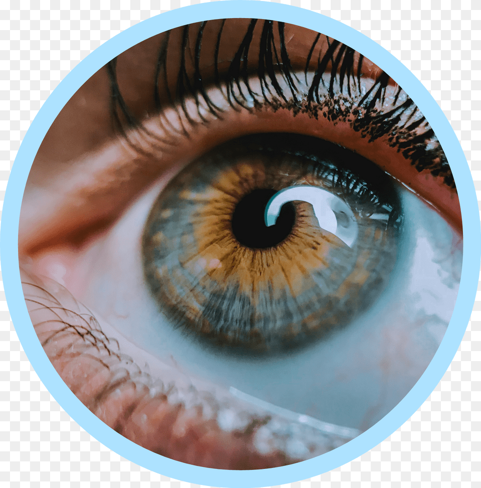 Eye Photography, Contact Lens, Disk Png