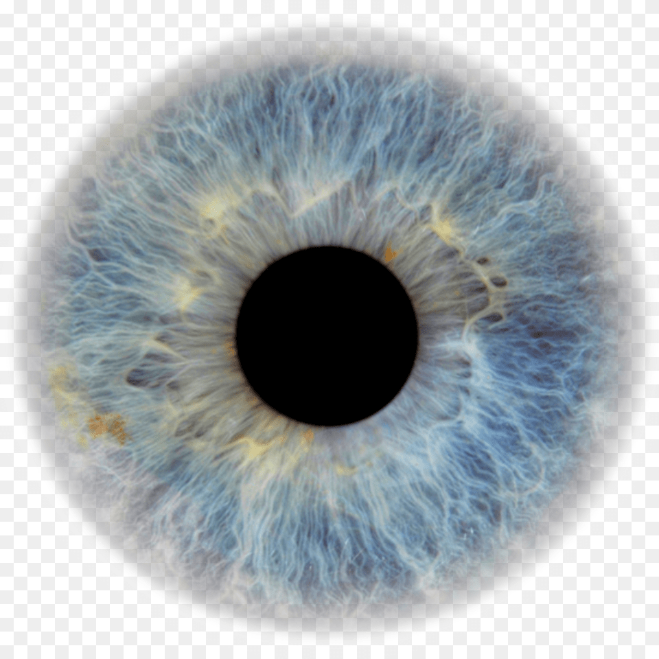 Eye Pupil Transparent Blue Eyes, Accessories Png Image