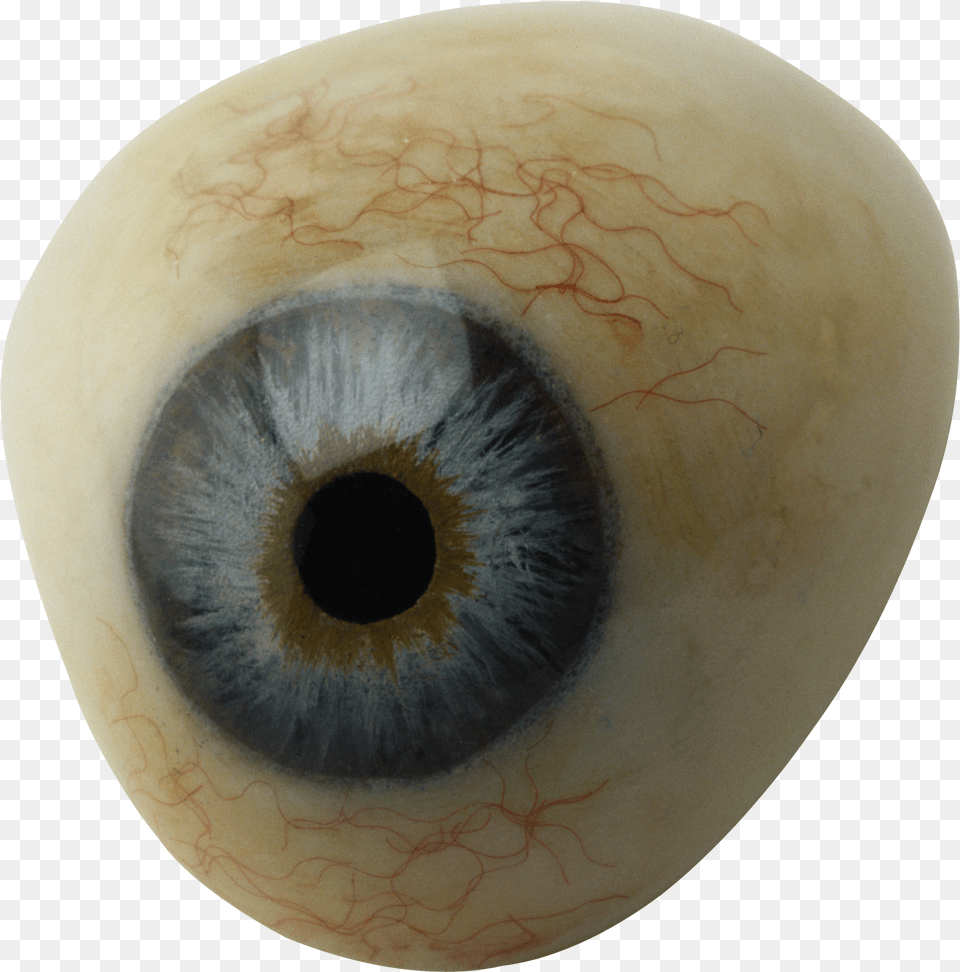 Eye Scary Eye No Background Png