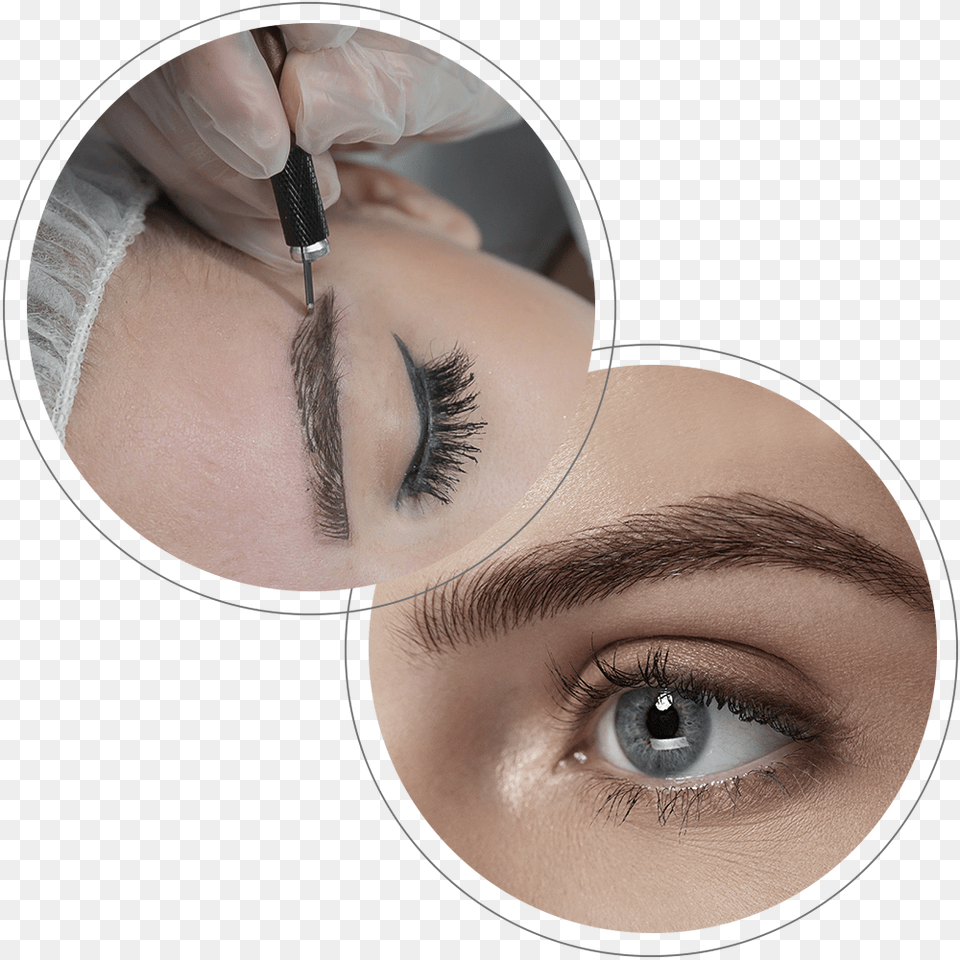 Eye Shadow, Adult, Female, Head, Person Png Image