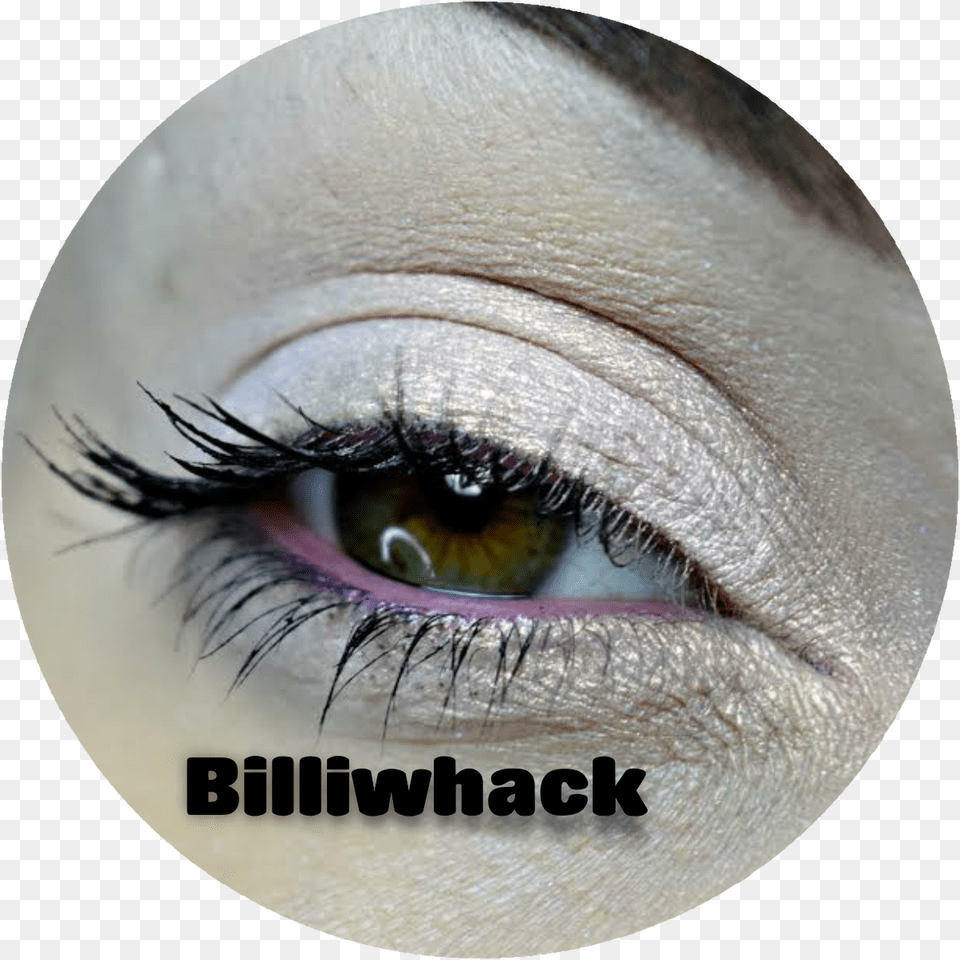 Eye Shadow, Adult, Female, Person, Woman Png