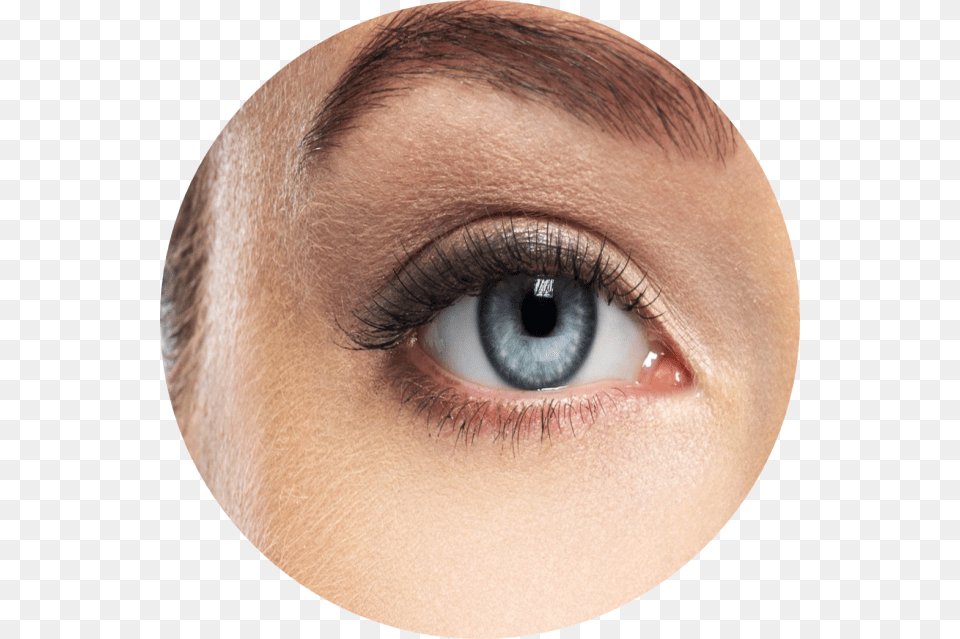 Eye Shadow, Adult, Contact Lens, Female, Person Png