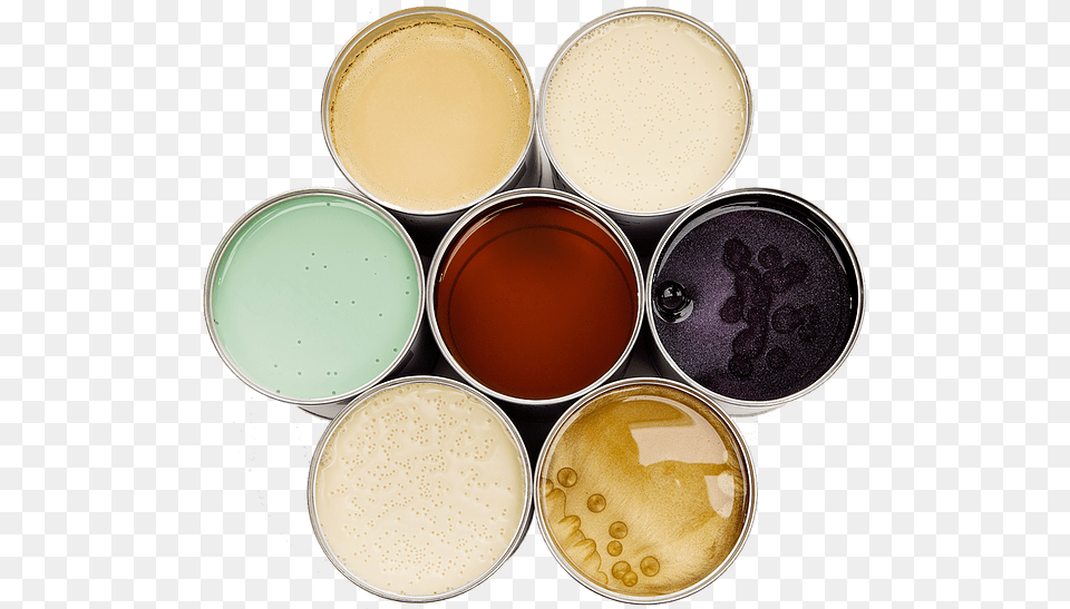 Eye Shadow, Paint Container, Cup Free Png