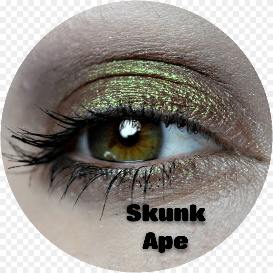 Eye Shadow, Adult, Female, Person, Woman Png Image