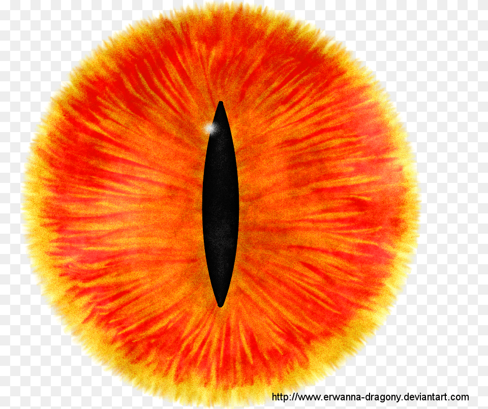 Eye Transparent Pictures Icons And Backgrounds Eye Of Sauron Icon, Plant, Petal, Flower, Accessories Png Image
