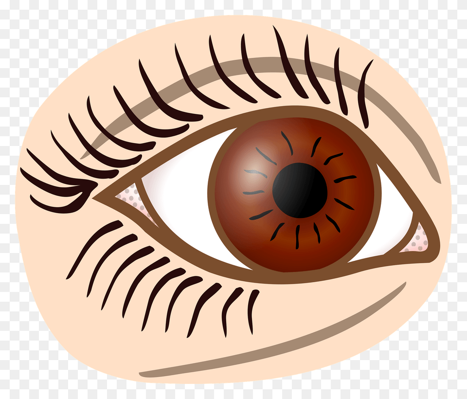 Eye With Brown Iris Clipart, Contact Lens Png Image