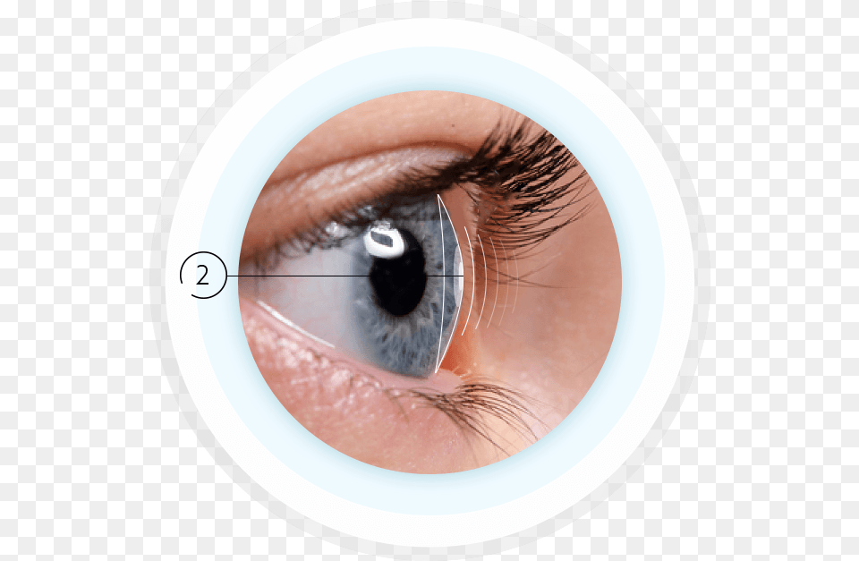 Eyeball From The Side, Contact Lens, Adult, Female, Person Free Png