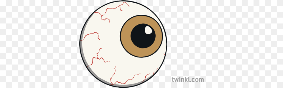 Eyeball Illustration Twinkl Circle, Disk Png