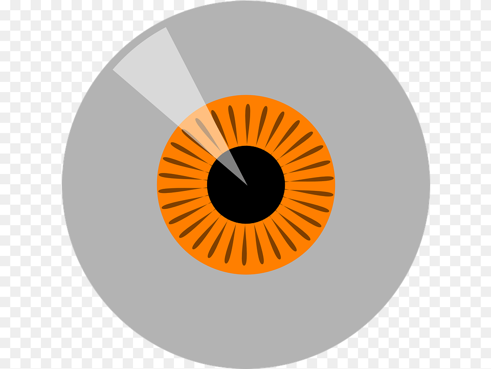 Eyeball Iris Orange Free Vector Graphic On Pixabay Vector Graphics, Disk, Dvd Png Image