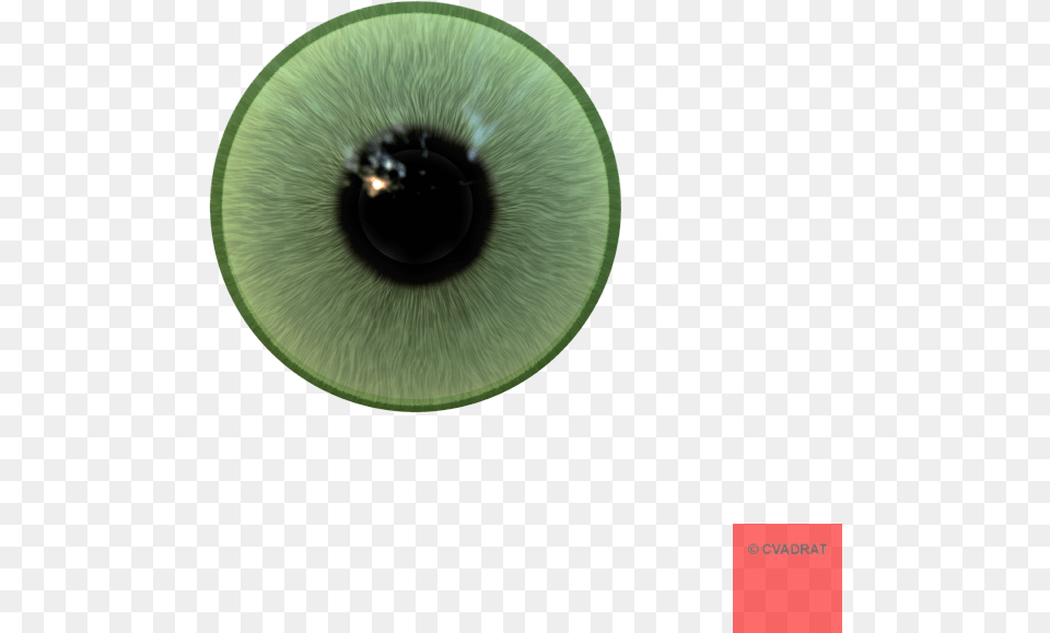 Eyeball Realistic Anytime Baby, Food, Fruit, Plant, Produce Free Transparent Png