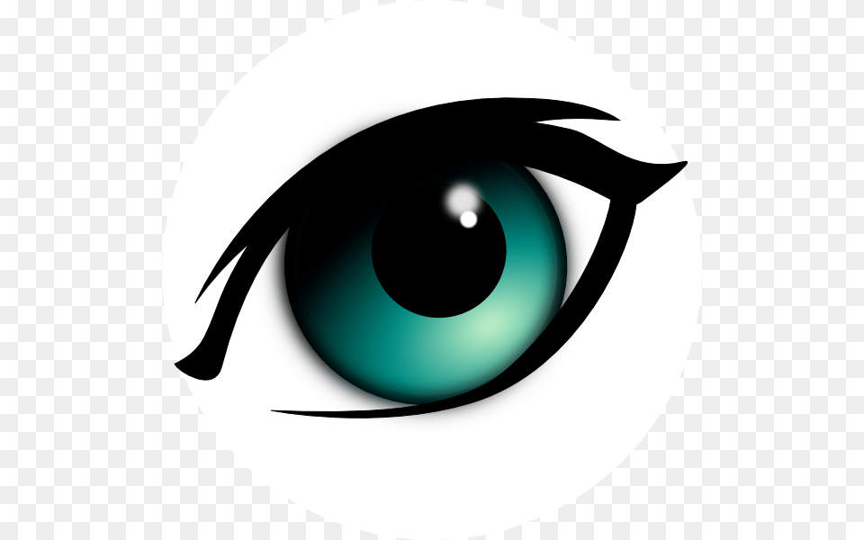 Eyeballs Clipart Male Eye Simple A Cartoon Eye Png