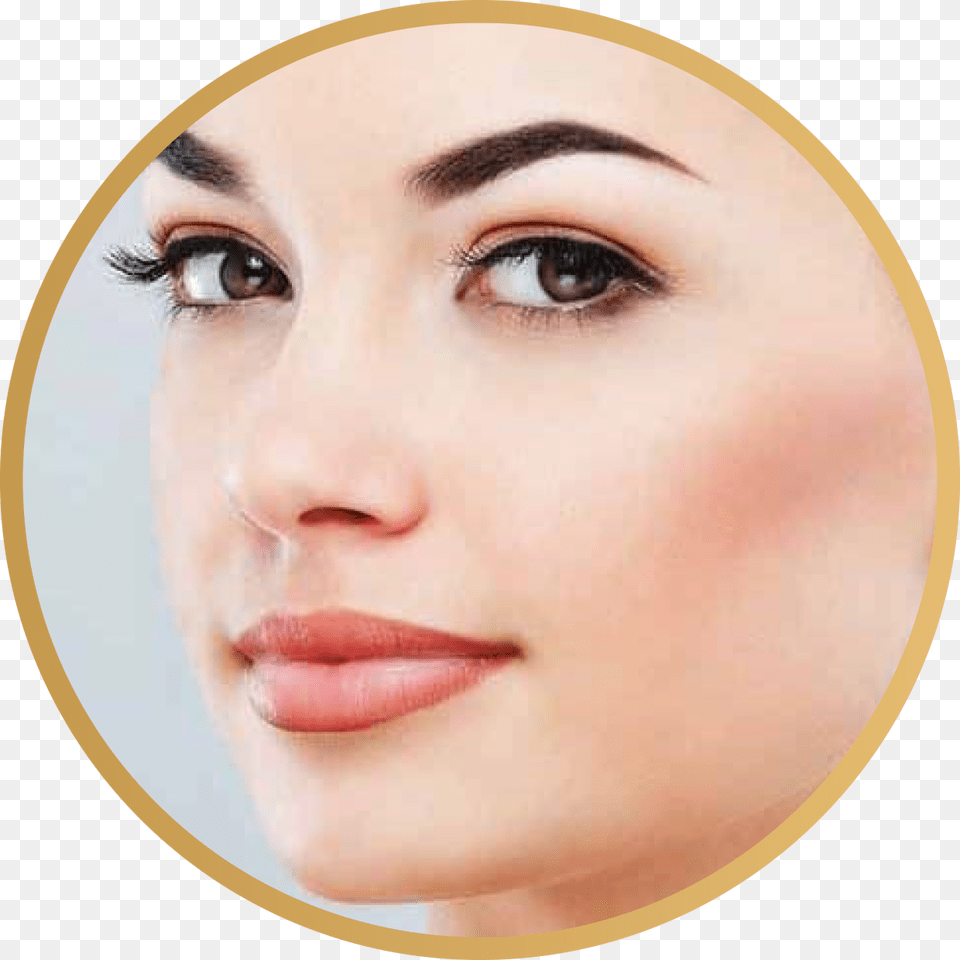 Eyebrow, Adult, Face, Female, Head Png Image