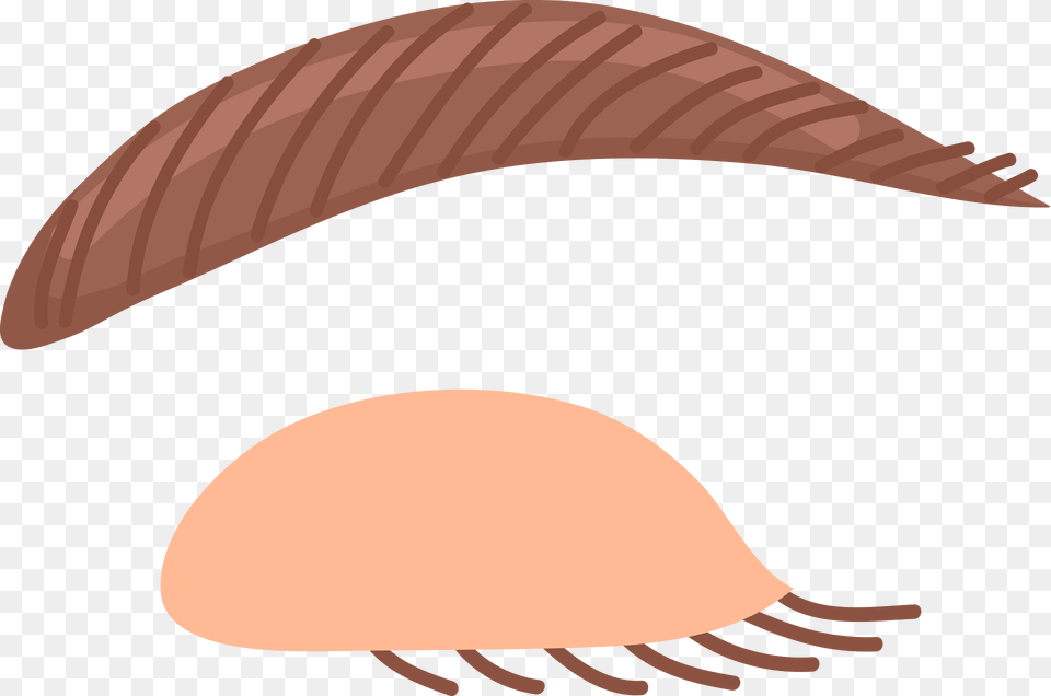 Eyebrow Clipart Free Png Download