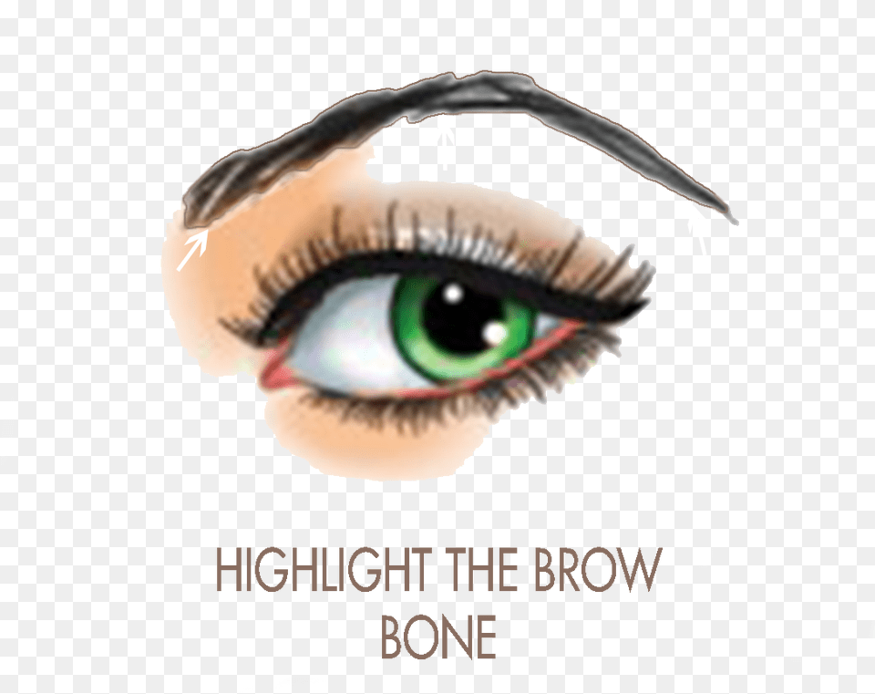 Eyebrow Clipart Eyebrow Pencil Essential Beauty Eyebrow Wax, Book, Publication, Adult, Female Png Image