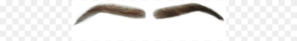 Eyebrow Transparent Wig, Face, Head, Mustache, Person Png Image