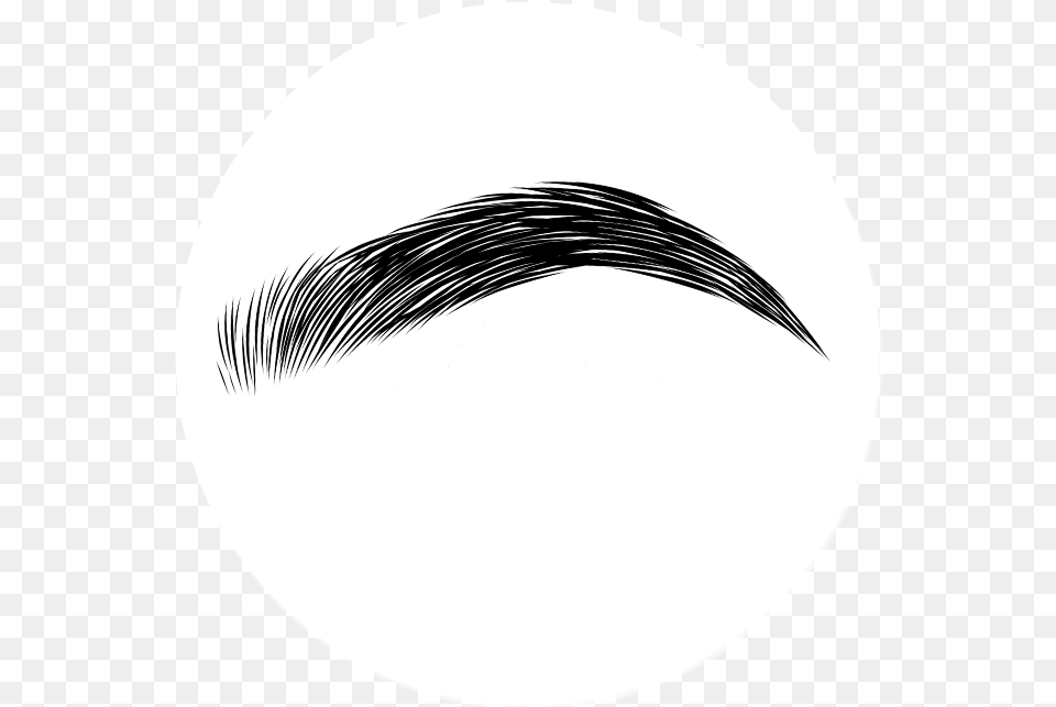 Eyebrows Transparent Circle, Face, Head, Mustache, Person Png