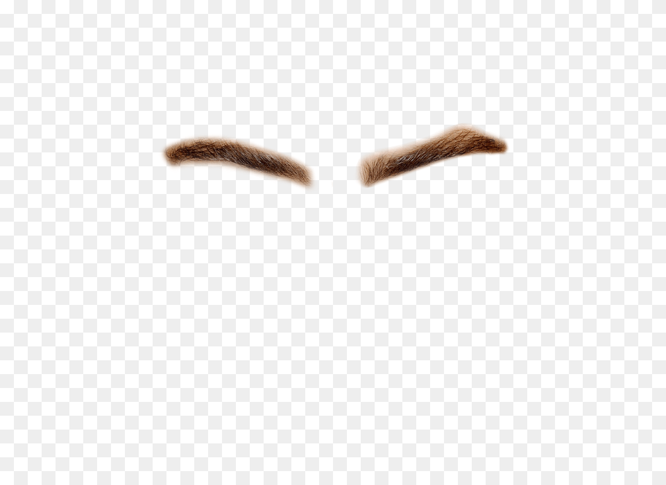 Eyebrows Transparent Eyebrows Images, Face, Head, Person, Mustache Png Image