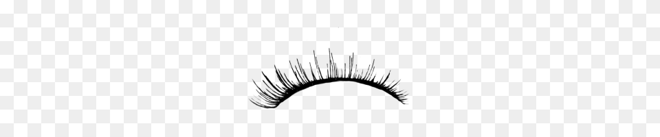 Eyelash, Gray Free Transparent Png