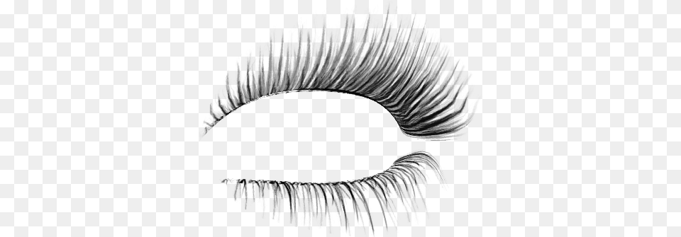 Eyelash, Gray Free Transparent Png