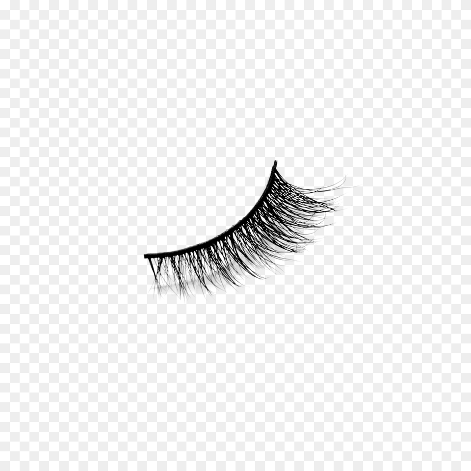 Eyelash, Nature, Night, Outdoors, Lighting Free Transparent Png