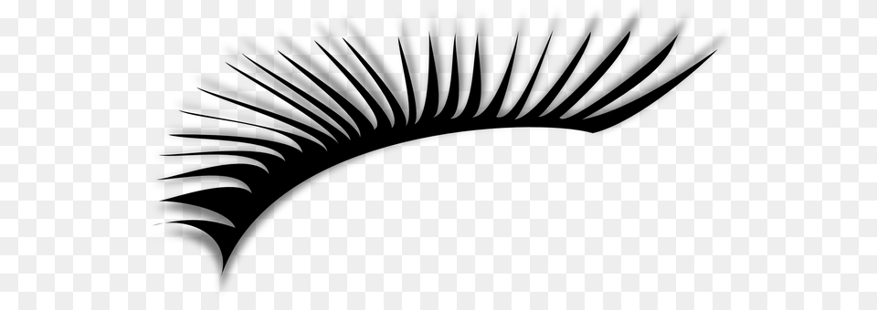 Eyelash Gray Png Image