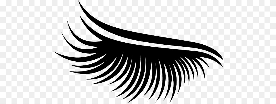 Eyelash, Art, Plant, Accessories Png Image