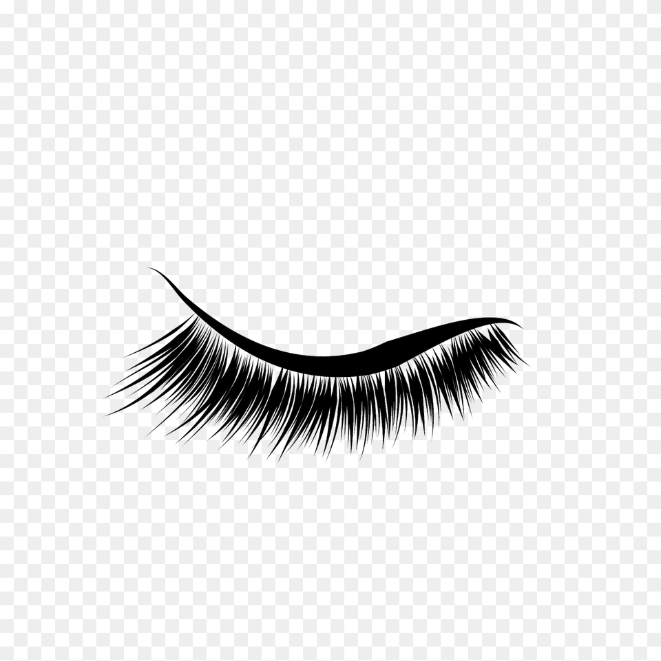 Eyelash, Head, Person, Face, Mustache Free Png