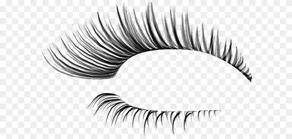 Eyelash, Accessories, Jewelry, Necklace, Outdoors Free Transparent Png