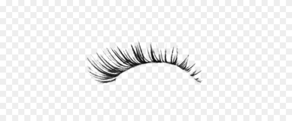 Eyelash, Gray Free Transparent Png