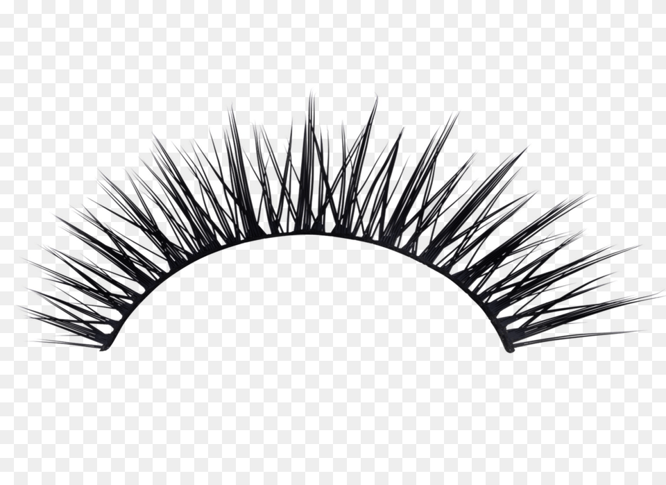 Eyelash, Accessories, Jewelry, Animal, Invertebrate Free Transparent Png