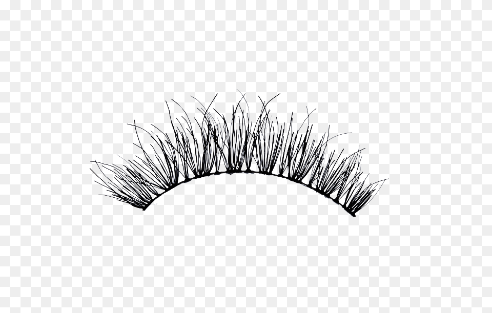 Eyelash, Accessories, Jewelry Free Transparent Png