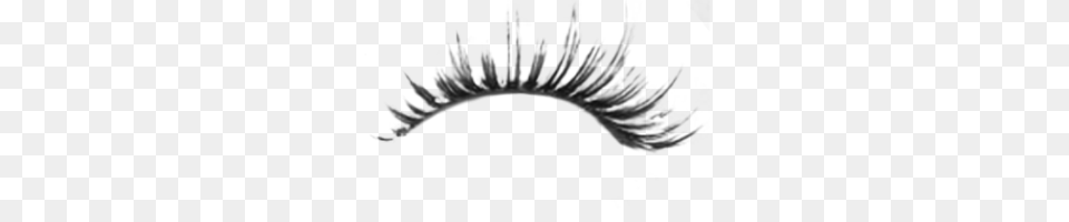 Eyelash Png