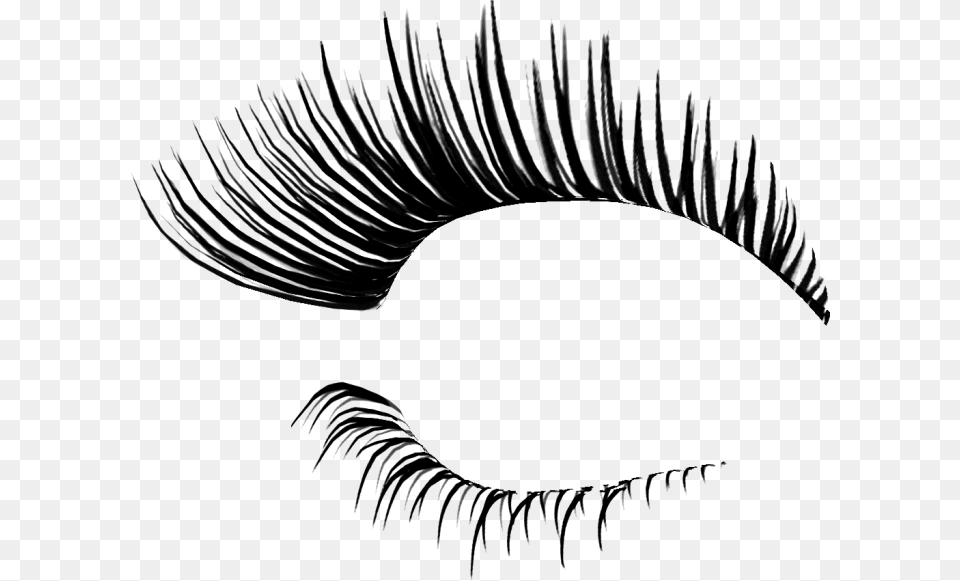 Eyelash, Gray Png Image