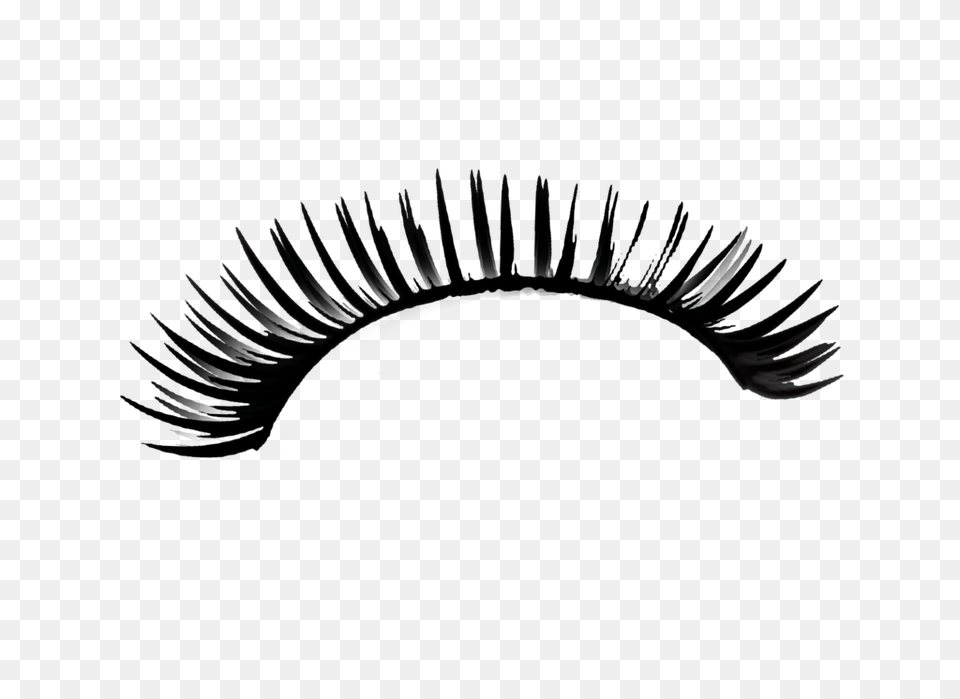 Eyelash, Black Png Image