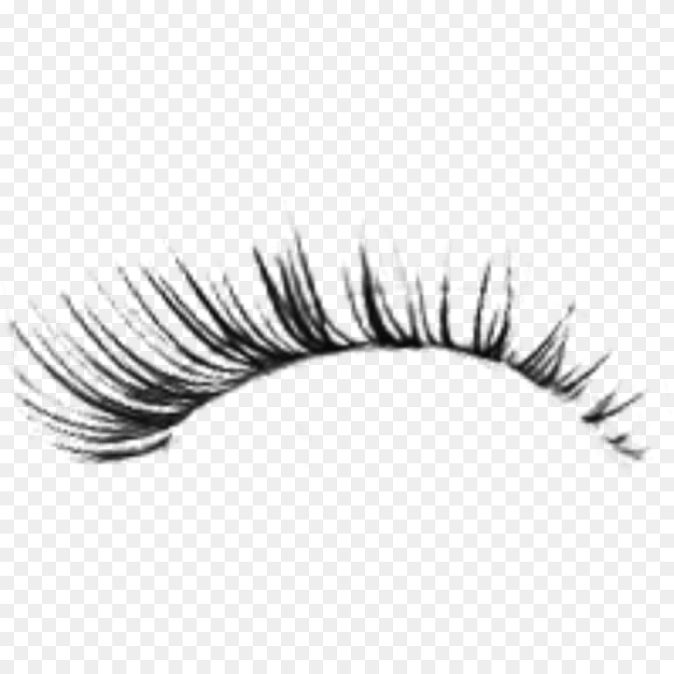 Eyelash, Gray Free Png